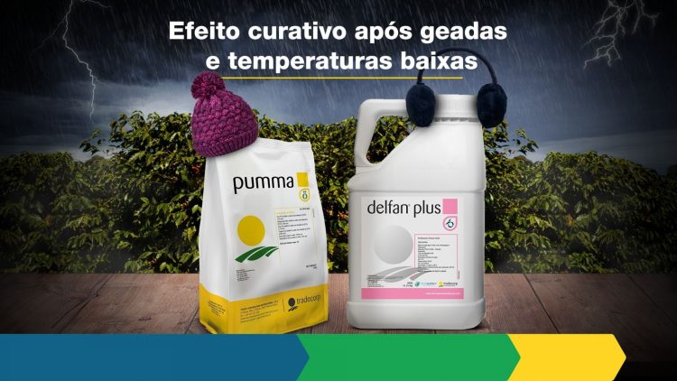 Inverno rigoroso e geadas: como realizar o manejo fisiológico das plantas?